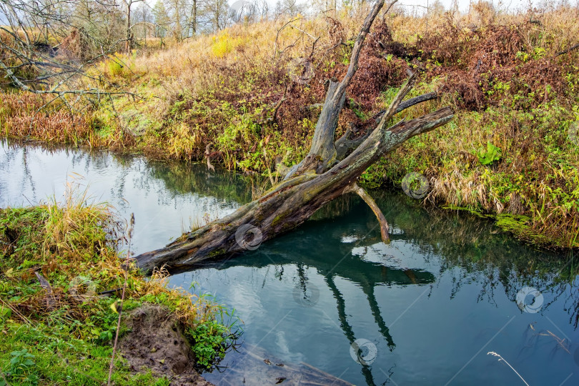 Скачать Небольшая речка в сельской местности поздней осенью фотосток Ozero