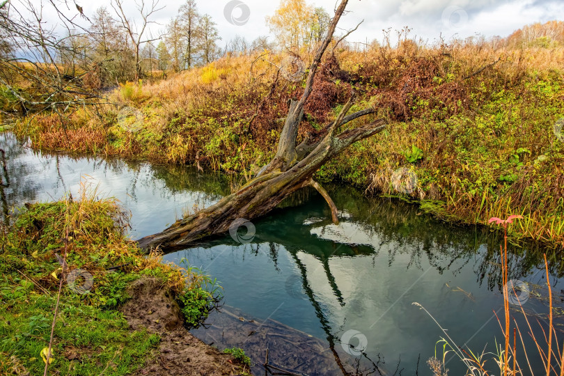 Скачать Небольшая речка в сельской местности поздней осенью фотосток Ozero