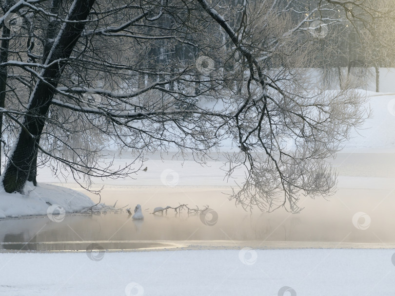 Скачать Зимняя прогулка вдоль реки солнечным туманным утром. фотосток Ozero