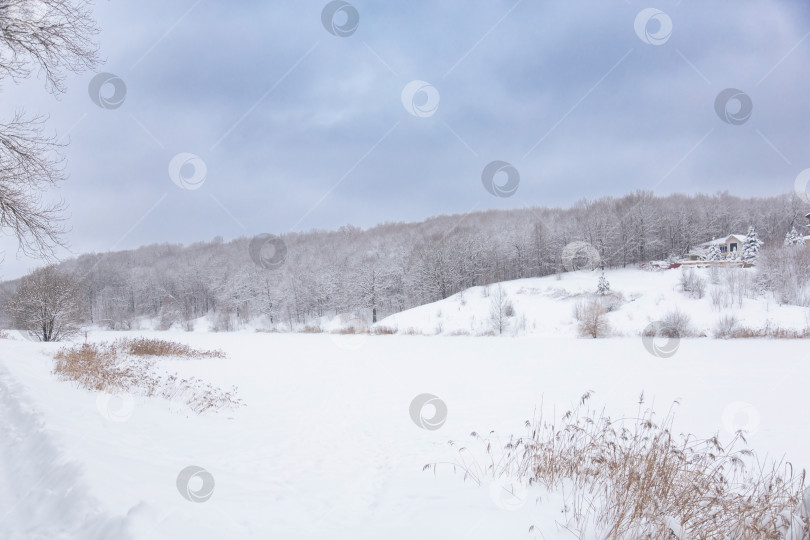 Скачать Зимний пейзаж с заснеженными соснами и ясным голубым небом. Мирная, нетронутая снежная природа фотосток Ozero