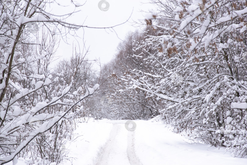 Скачать снегопад на зимней дороге, абстрактный фон, размытый фон шоссе, снежный пейзаж фотосток Ozero