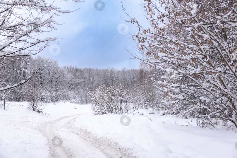 Скачать снегопад на зимней дороге, абстрактный фон, размытый фон шоссе, снежный пейзаж фотосток Ozero