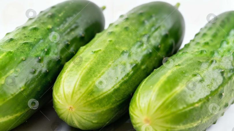 Скачать Три свежих зеленых огурца с естественным блеском фотосток Ozero
