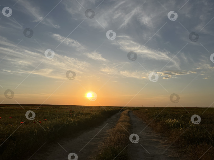 Скачать Закат с дорогой в степи фотосток Ozero