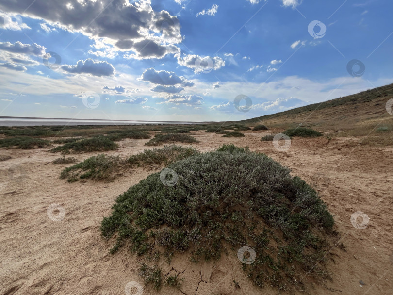 Скачать Пустынный берег солончака в  Калмыкии фотосток Ozero