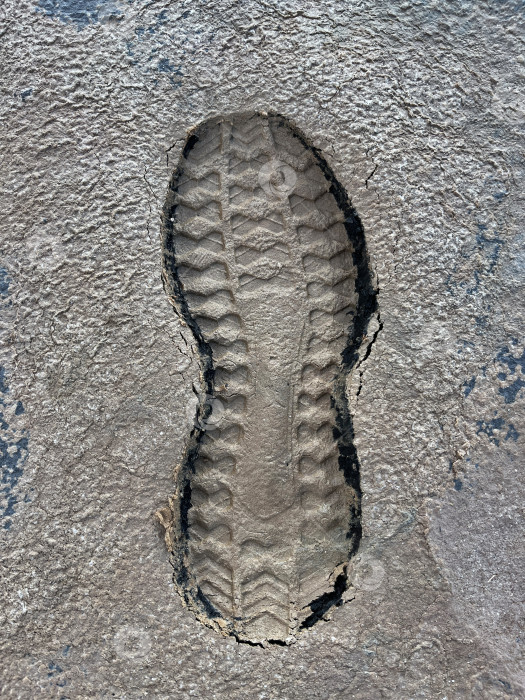 Скачать След обуви на земле фотосток Ozero