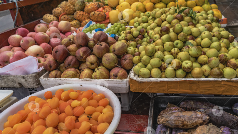 Скачать На подносах разложены разнообразные красочные тропические экзотические фрукты - ярко-оранжевые, красные, зеленые, желтые, фиолетовые. фотосток Ozero