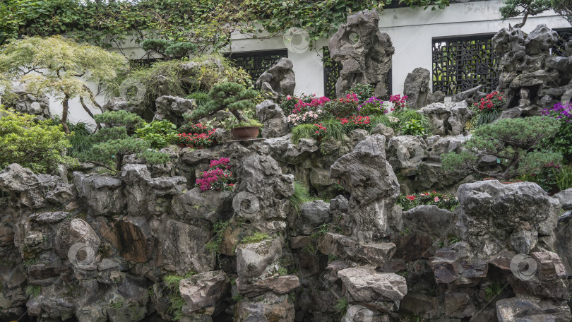 Скачать Фрагмент китайского парка. Декоративные разноцветные цветы на живописных валунах. фотосток Ozero