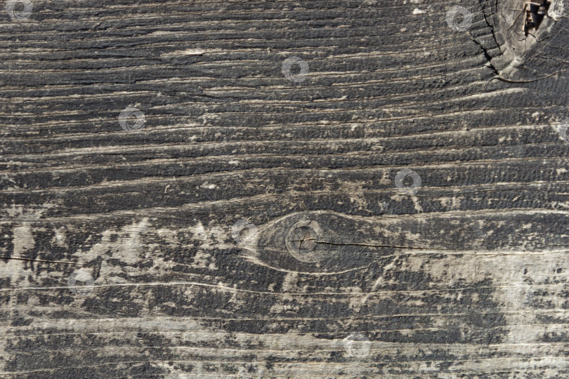 Скачать Выветрившаяся текстура древесины амбара с потрескавшейся краской фотосток Ozero
