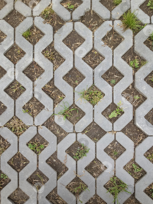 Скачать Экологичная бетонная травяная брусчатка геометрической формы фотосток Ozero