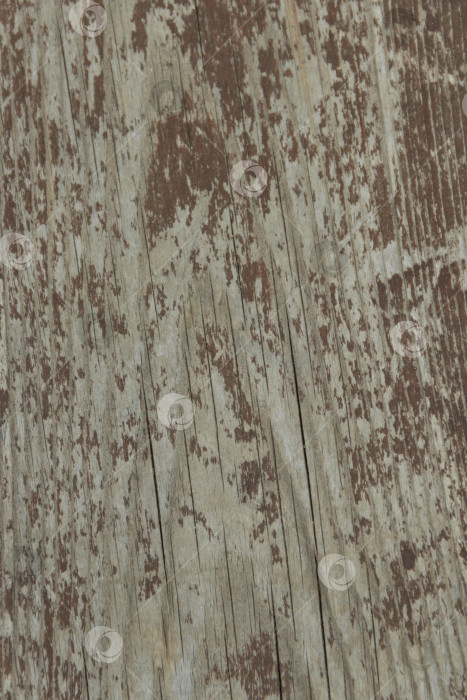 Скачать Деревенское выветренное дерево с потрескавшейся текстурой краски фотосток Ozero