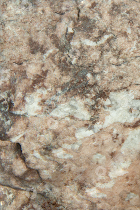 Скачать Текстура мраморного камня с естественными узорами и поверхностью, напоминающей гранит фотосток Ozero