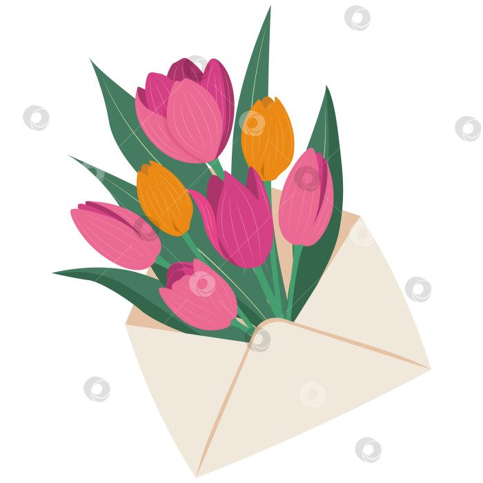 Скачать Букет весенних тюльпанов в конверте. фотосток Ozero