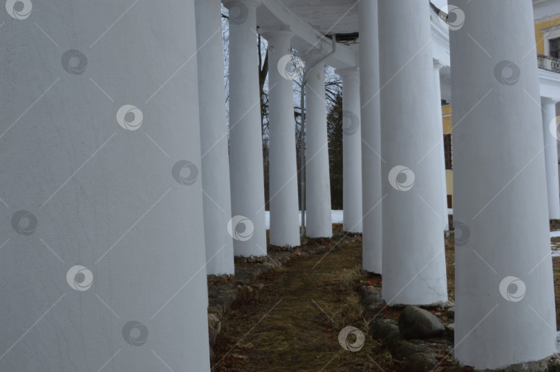 Скачать Колоннада фотосток Ozero