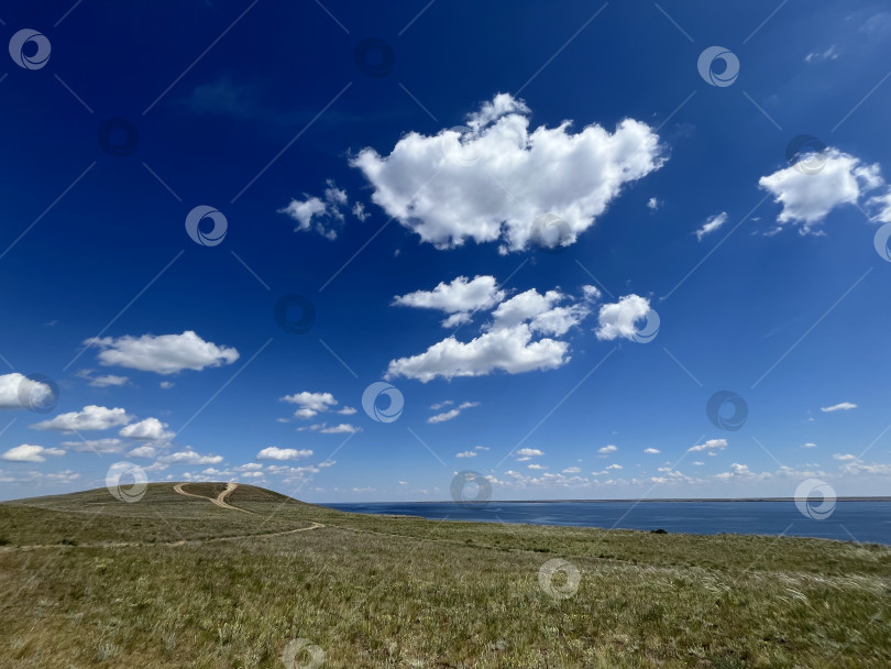 Скачать Солнечный день на побережье Волги фотосток Ozero