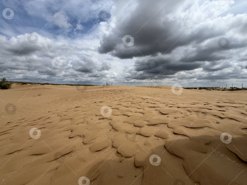 Скачать Рябь в пустыне фотосток Ozero