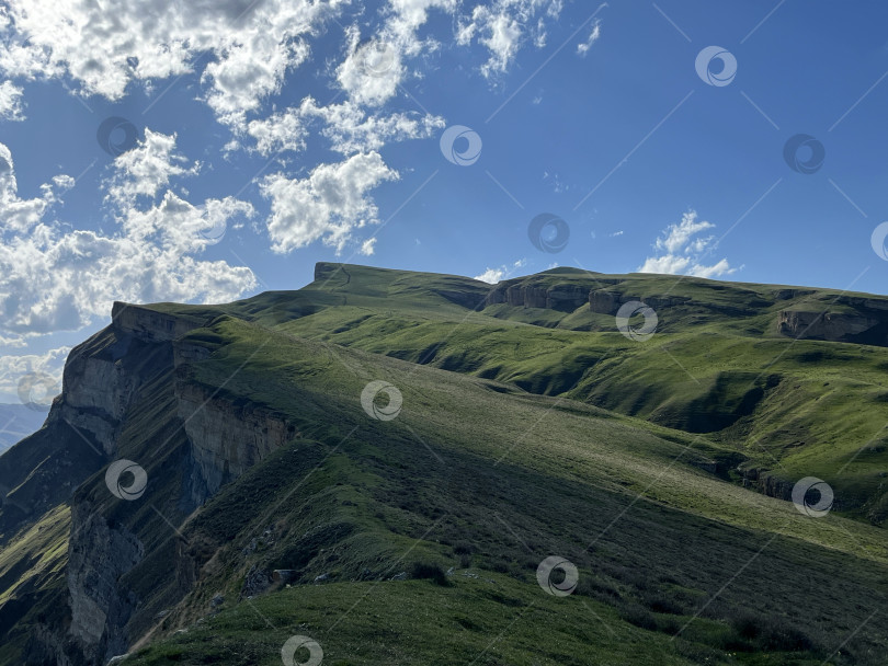 Скачать Альпийские луга фотосток Ozero