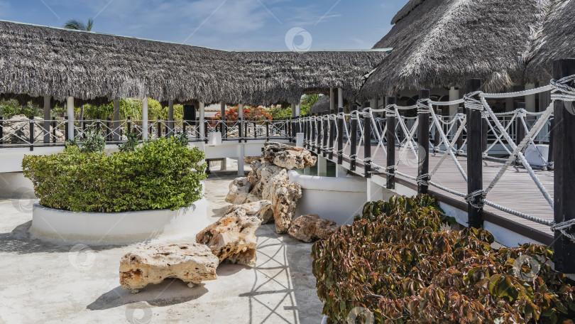 Скачать Ландшафтный дизайн тропического парка. Декоративные клумбы с растениями, живописные валуны. фотосток Ozero