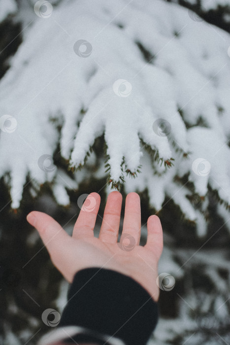 Скачать Рука фотосток Ozero