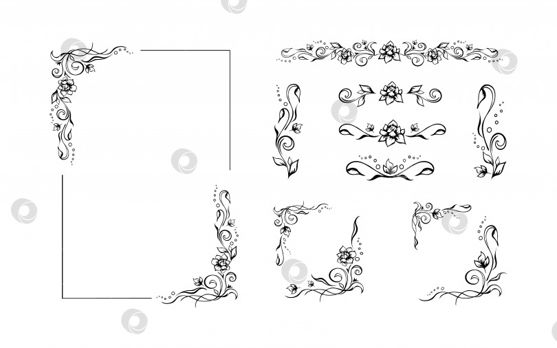 Скачать Прямоугольная цветочная рамка, шаблон бордюра из роз с завитушками в двух углах. Нарисованные вручную винтажные элементы гирлянды. Редактируемый векторный дизайн на белом фоне для печати фотосток Ozero