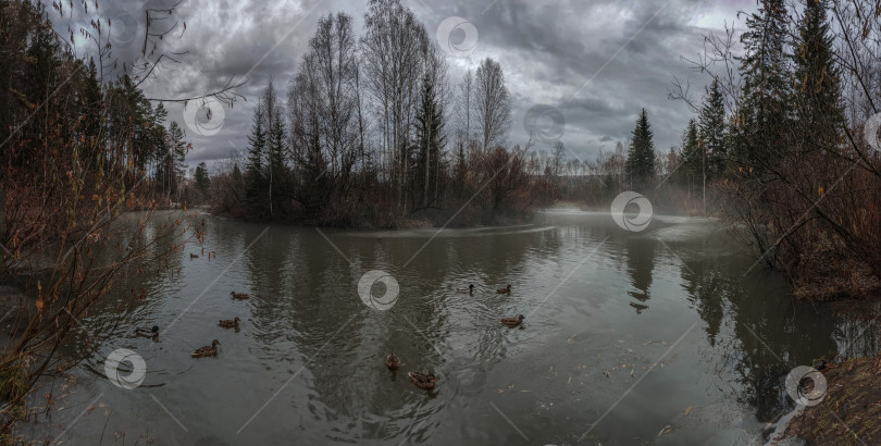 Скачать Река Кантат с утками, окружённая лесом. Туман над водой и пасмурное небо.г.Железногорск Красноярский Край. фотосток Ozero