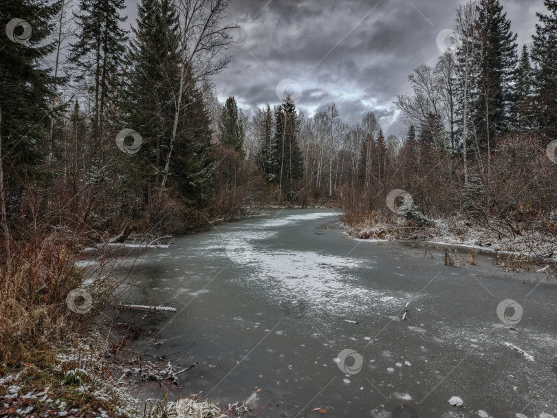 Скачать замёрзшая река, окружённая лесом. Деревья высокие, снег лежит на земле. Небо облачное, серое. фотосток Ozero