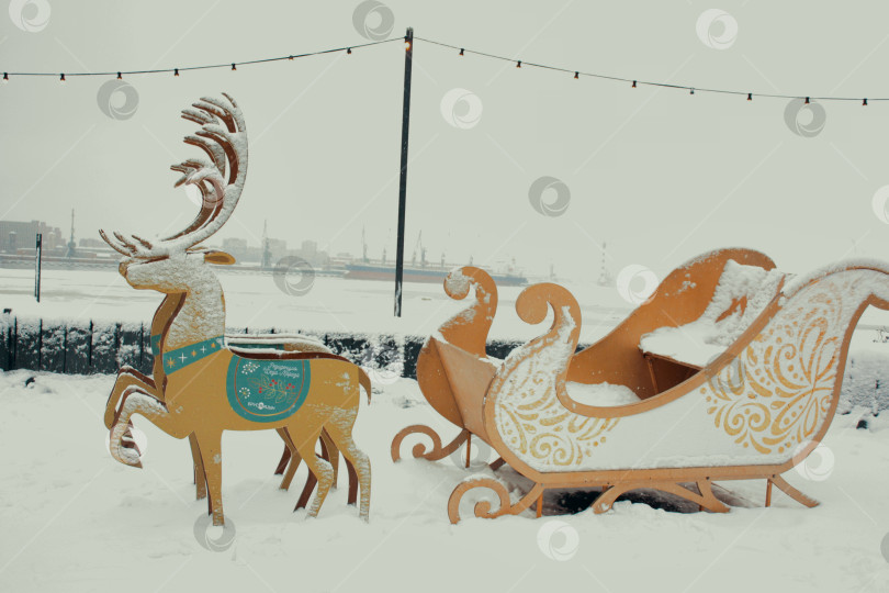 Скачать Красивые олени на культурном квартале фотосток Ozero