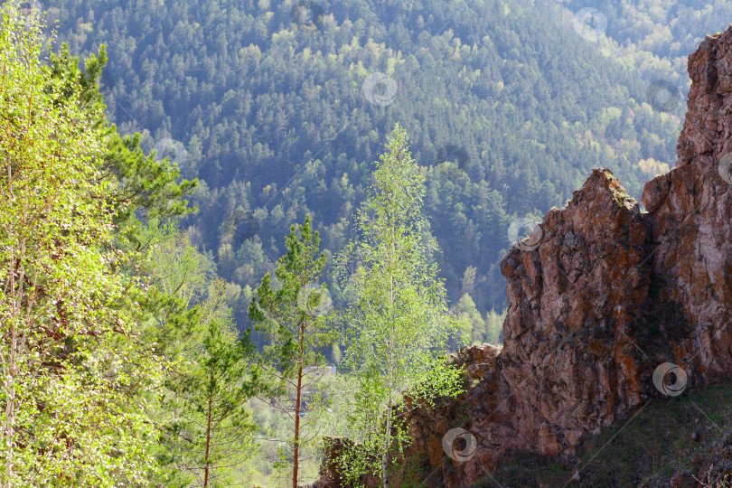 Скачать Торгашинский хребет фотосток Ozero