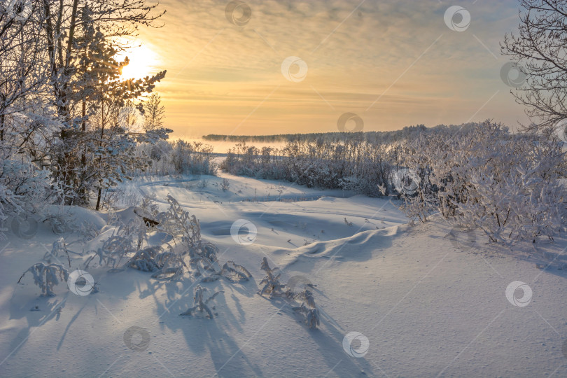 Скачать Зимний берег Енисея,город Красноярск, деревья покрытые снегом, закат фотосток Ozero