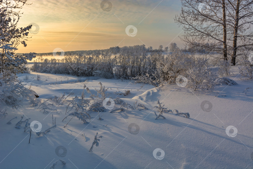 Скачать Зимний берег Енисея,город Красноярск, деревья покрытые снегом, голубое небо. фотосток Ozero