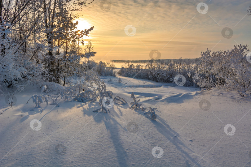 Скачать Зимний берег Енисея,город Красноярск, деревья покрытые снегом, закат фотосток Ozero