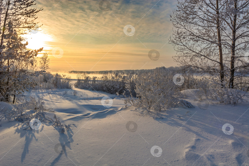 Скачать Зимний берег Енисея,город Красноярск, деревья покрытые снегом, закат фотосток Ozero
