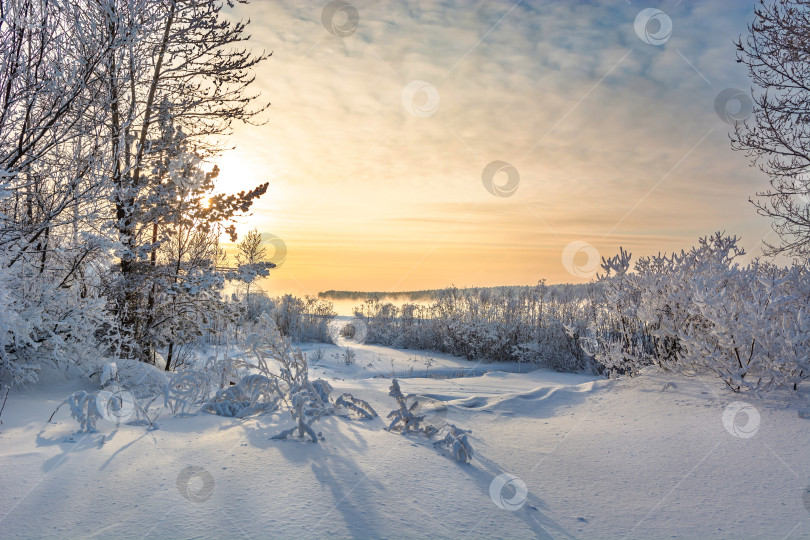 Скачать Зимний берег Енисея,город Красноярск, деревья покрытые снегом, голубое небо. фотосток Ozero