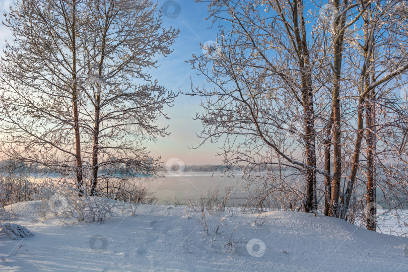 Скачать Зимний берег Енисея,город Красноярск, деревья покрытые снегом, голубое небо. фотосток Ozero