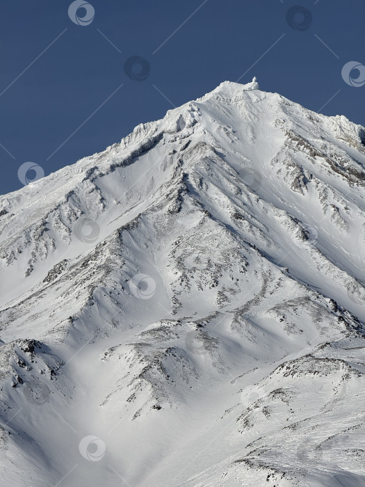 Скачать Величественный Корякский вулкан на Камчатке в снегу фотосток Ozero