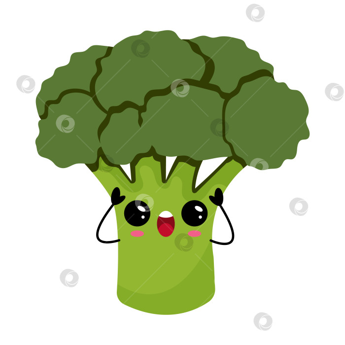 Скачать Симпатичная кавайная векторная иллюстрация персонажа брокколи фотосток Ozero