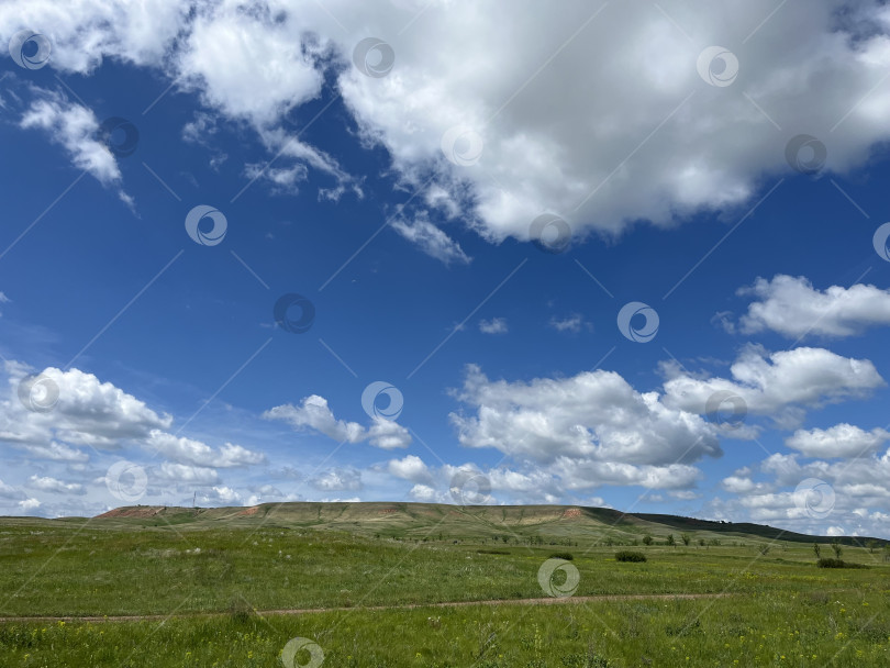 Скачать Зеленый пейзаж фотосток Ozero