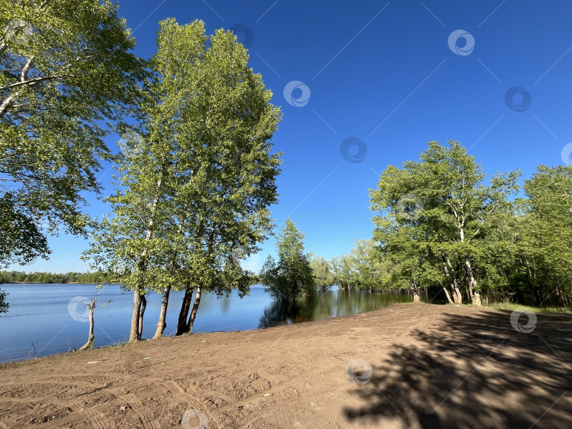 Скачать Берег на разливе фотосток Ozero