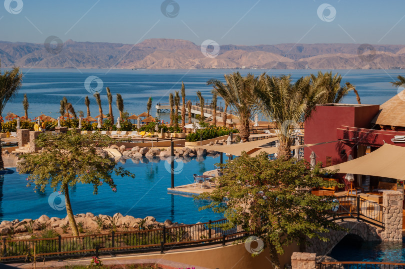 Скачать Отель Movenpick Resort and SPA Tala Bay Aqaba, 5 звезд, на берегу Красного моря в Иордании. Территория отеля с множеством бассейнов окружена пальмами. Акаба, Иордания - 06 декабря 2009 г. фотосток Ozero