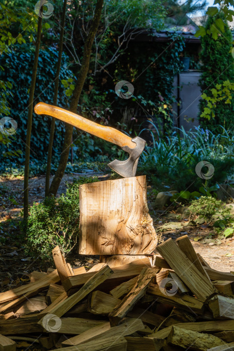 Скачать Крупный план, как топор рубит дубовые пни в саду. Заготовка дров для печи или камина на зиму. фотосток Ozero