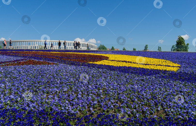 Скачать Картина Александра Родченко "Победоносный красный" создана на клумбе из цветов фиалки трехцветной анютины глазки (Heartsease или Johnny Jump Up). Общественный ландшафтный парк Галицкого. Краснодар, Россия - 5 мая 2021 г. фотосток Ozero