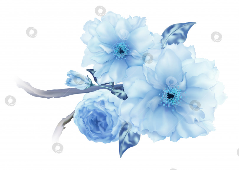 Скачать 3D реалистичная синяя вишня ветка цветка сакуры цифровое искусство изолировано фотосток Ozero