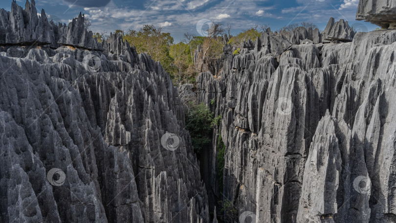 Скачать Знаменитая достопримечательность Мадагаскара. Крутые, изрезанные карстовыми бороздами склоны скал и острые пики. фотосток Ozero