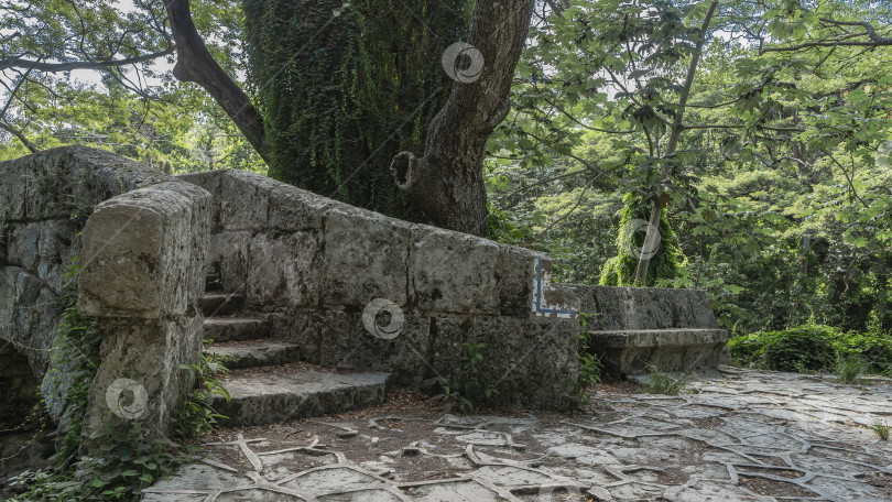 Скачать Старый заброшенный тенистый городской парк. Каменная скамья, поросшая мхом, и мостик со ступеньками. фотосток Ozero