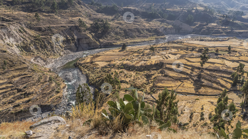 Скачать Прекрасный пейзаж каньона Колка. Террасы на склонах гор. фотосток Ozero
