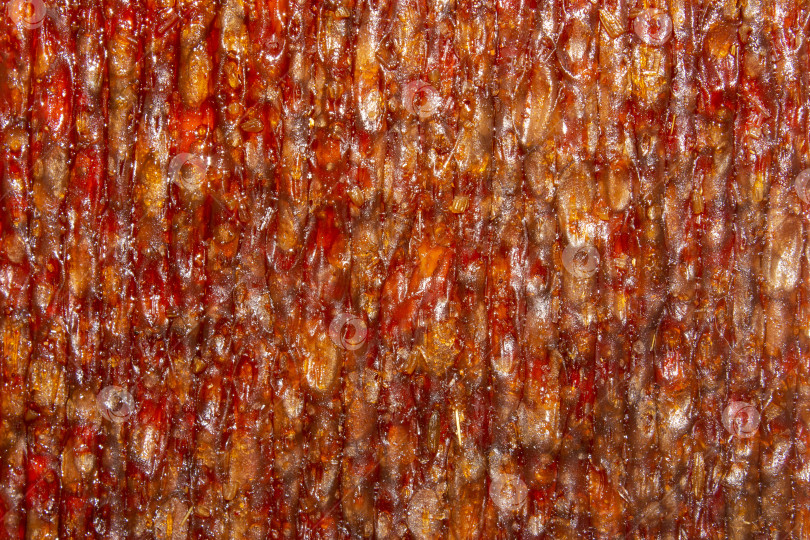 Скачать Вяленое соевое мясо с приправами.Текстура сои.Соевые закуски к пиву.Соевые закуски.Острое соевое мясо. фотосток Ozero