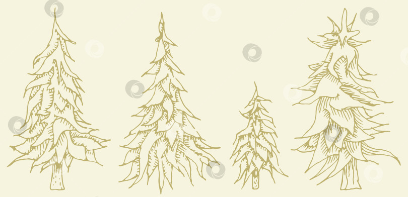 Скачать Коллекция сосен в стиле гравюры. Рождественские елки, нарисованные вручную. Архитектурный эскиз, природный фон. Гравюра с изображением ели. Набор векторов фотосток Ozero
