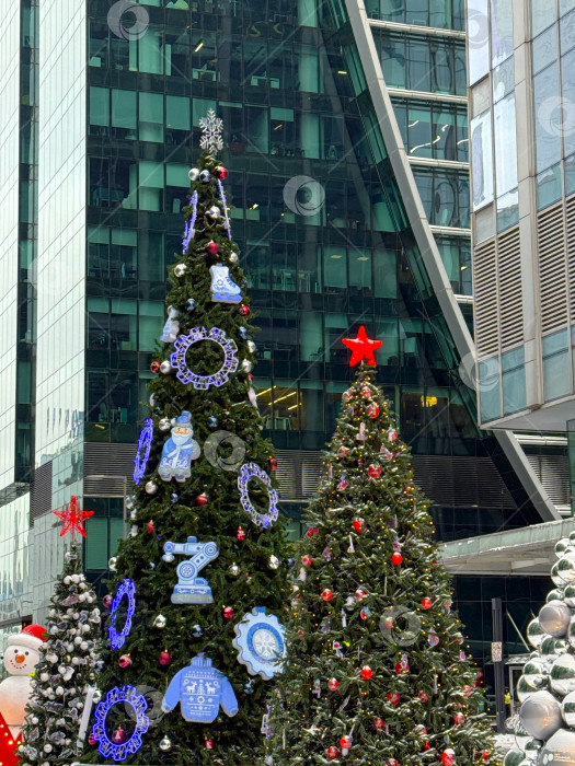 Скачать Украшенные рождественские елки в Москва-Сити на фоне современных небоскребов, празднование зимних праздников в современной городской обстановке. фотосток Ozero