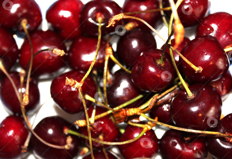 Скачать Ягоды черешни красной фотосток Ozero