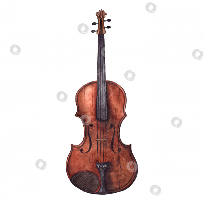 Скачать Акварельная деревянная старинная скрипка скрипичный музыкальный инструмент изолированное искусство фотосток Ozero